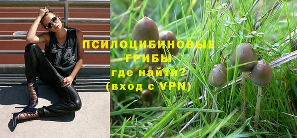 спиды Алексеевка