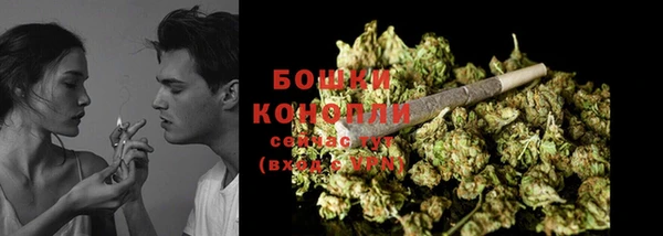 крисы Яровое