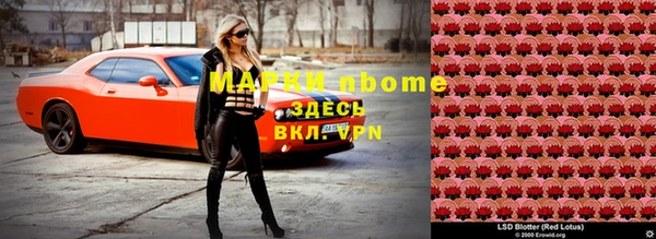 винт Алзамай
