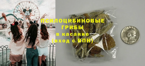 спиды Алексеевка